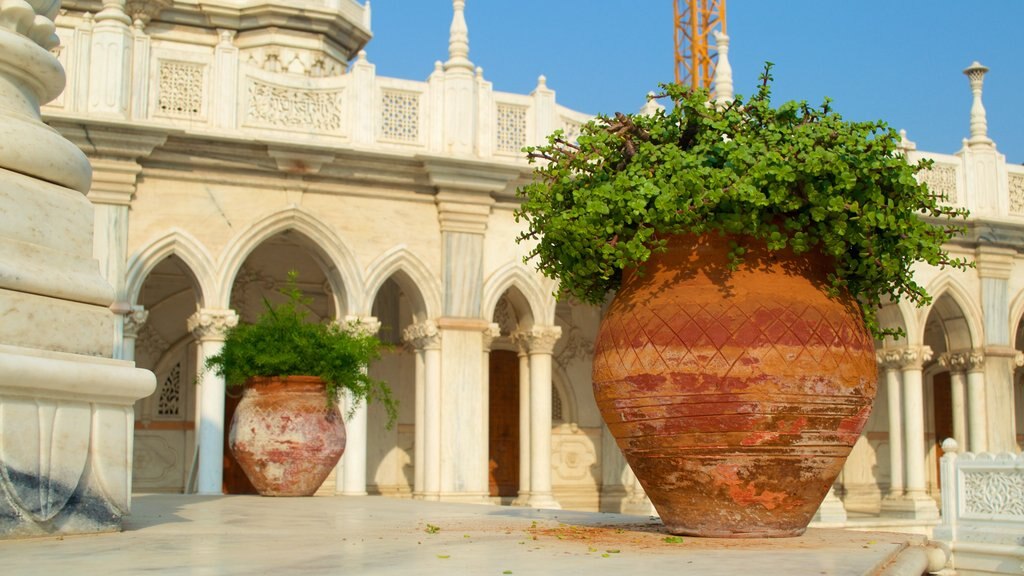 Soami Bagh Temple showing a temple or place of worship