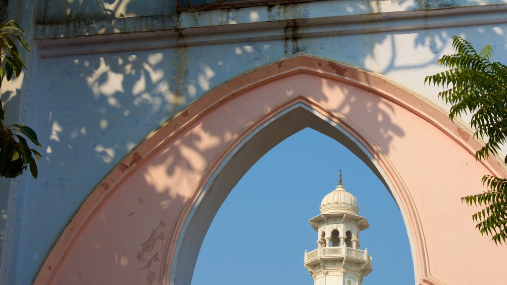 Soami Bagh Temple showing a temple or place of worship