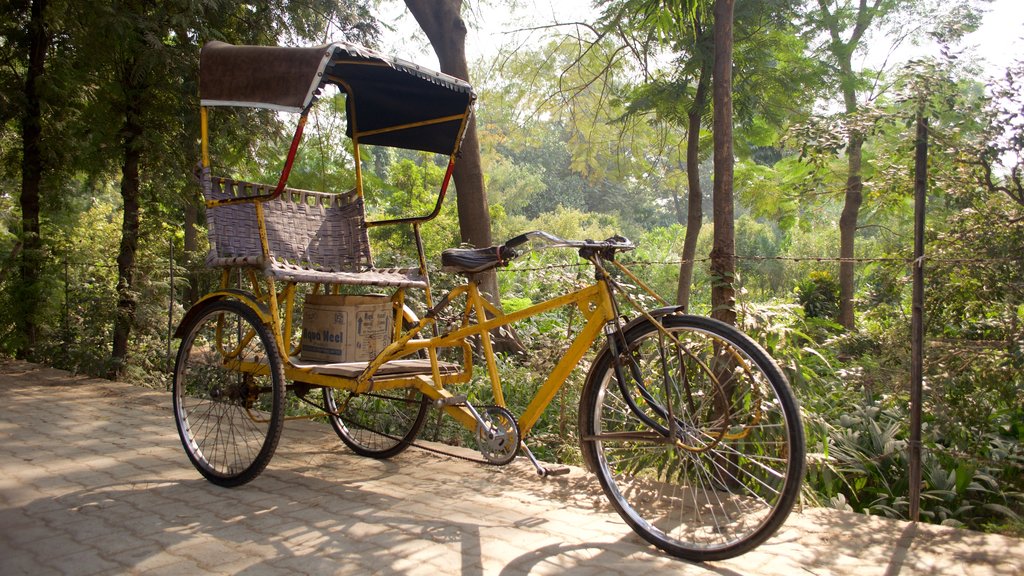 Chini ka Rauza showing cycling