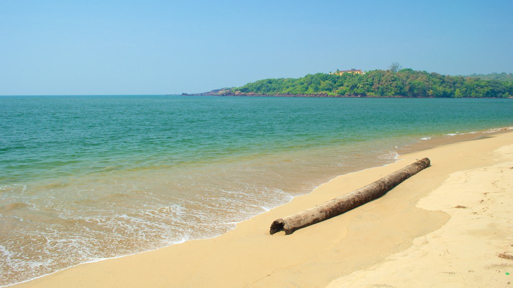 Querim Beach which includes general coastal views and a sandy beach