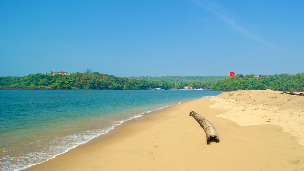 Praia de Querim mostrando uma praia e paisagens litorâneas