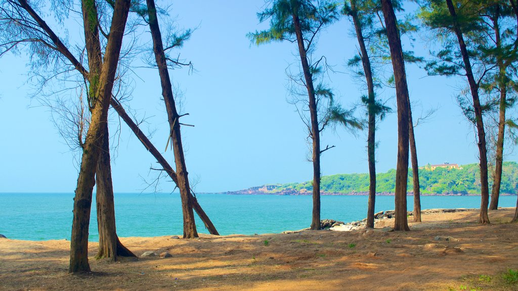 Querim Beach showing general coastal views