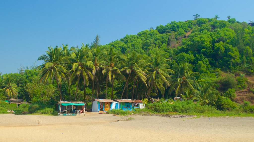 Pantai Querim menunjukkan alam tropis, pemandangan umum pantai dan pantai berpasir