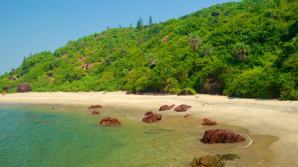 Querim Beach montrant paysages tropicaux, paysages côtiers et une plage