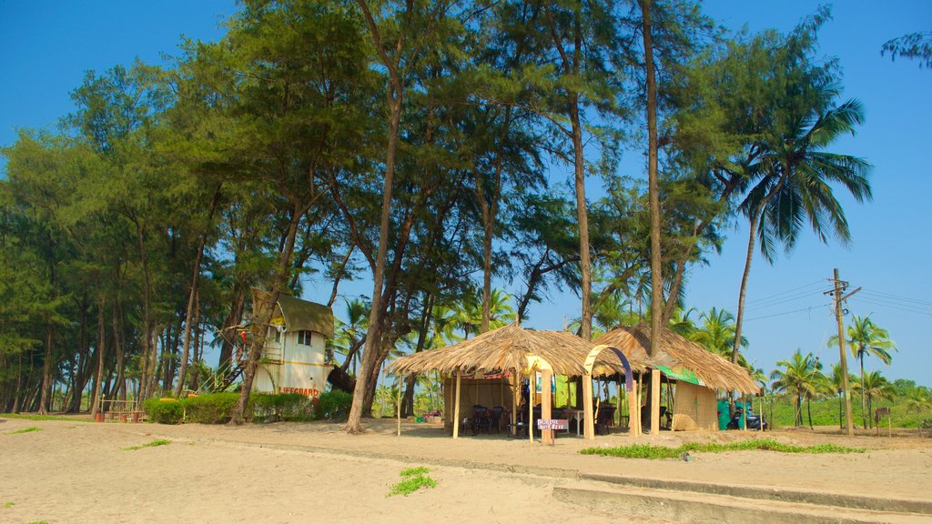 Praia de Querim que inclui cenas tropicais, uma praia e uma cidade pequena ou vila