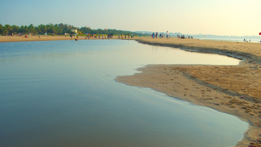 Miramar Beach showing general coastal views and a sandy beach