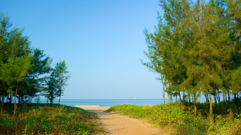 Miramar Beach which includes a beach, forest scenes and general coastal views