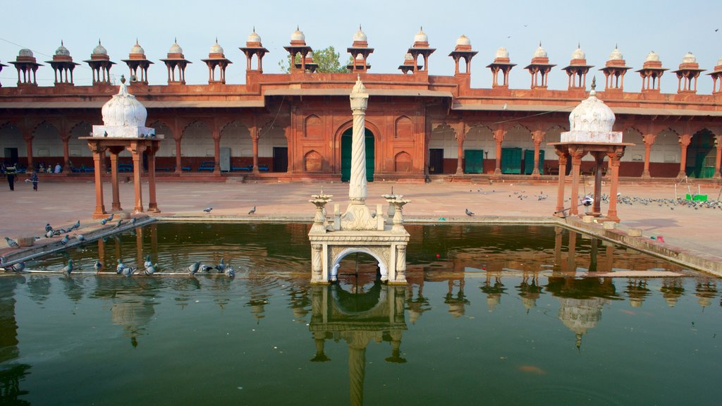 Jama Masjid showing a fountain and a mosque