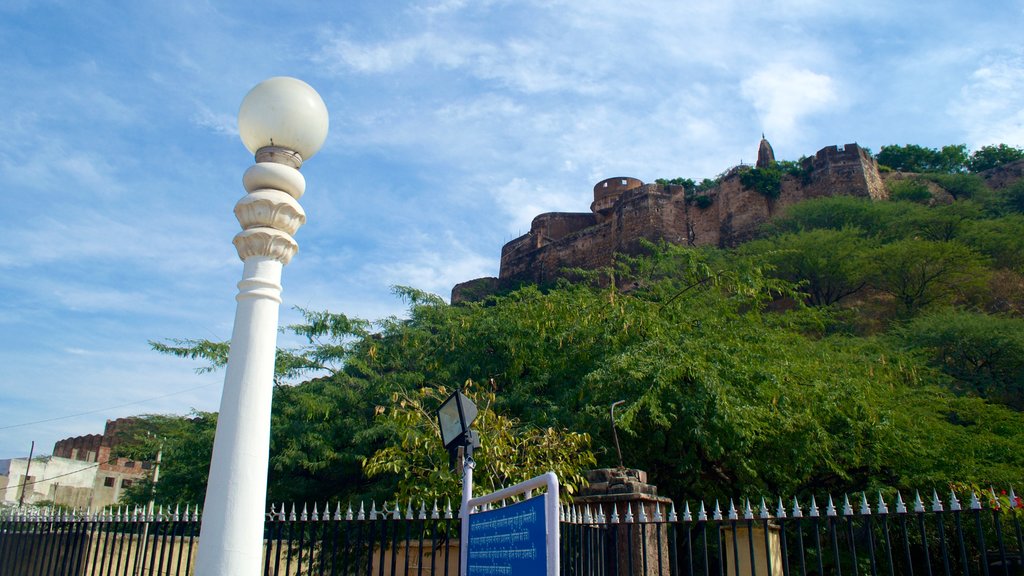 Birla Temple featuring a castle