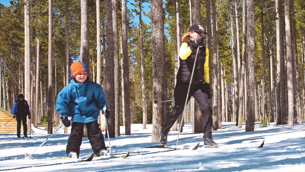 Casper showing snow skiing, forests and snow