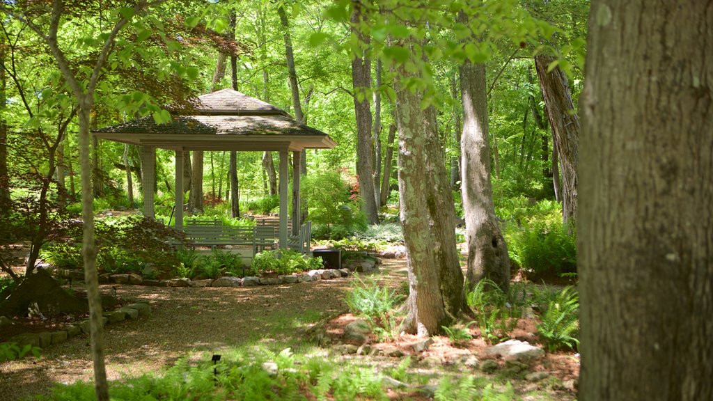 Huntsville Botanical Garden mostrando giardino e paesaggio forestale