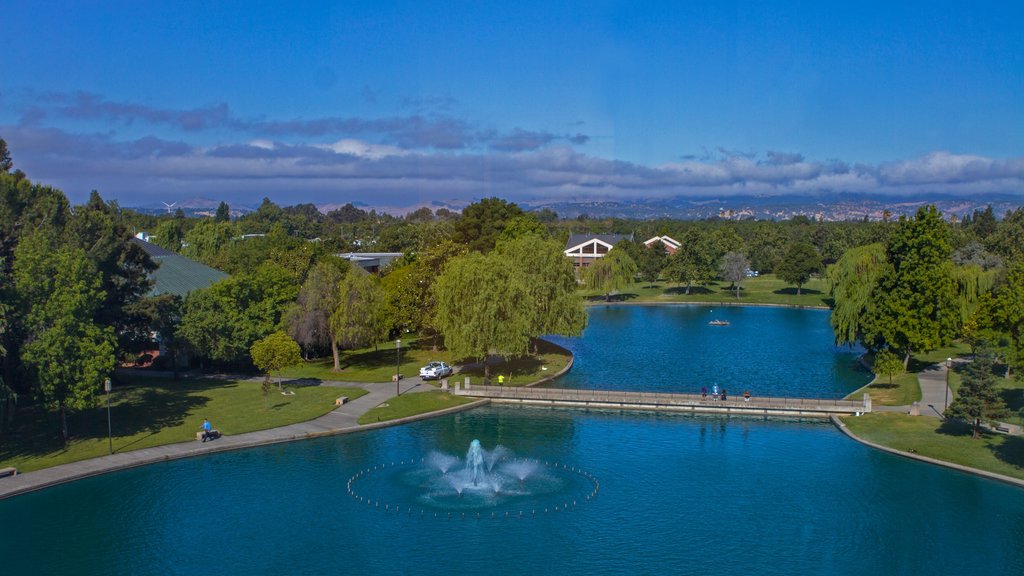 Fairfield mostrando um parque e uma fonte