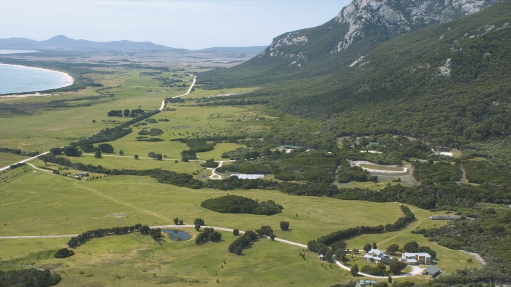 Flinders Island som viser rolig landskap og fjell