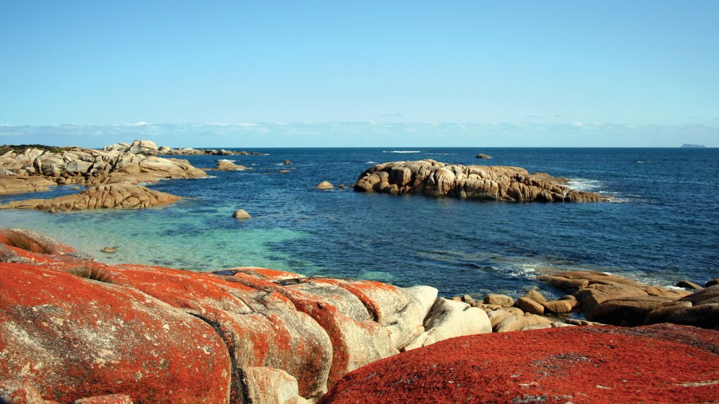 Flinders Island mostrando costa rocosa