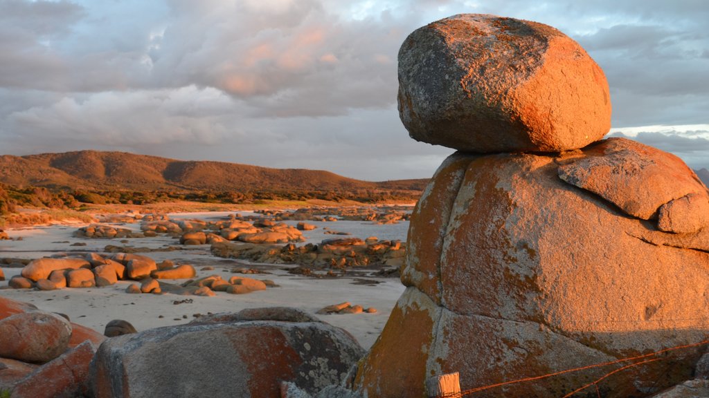 Flinders Island which includes general coastal views, a beach and rocky coastline