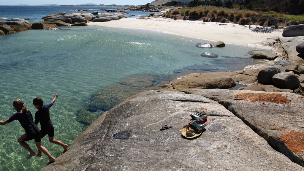 Flinders Island ofreciendo vistas generales de la costa y una playa y también niños