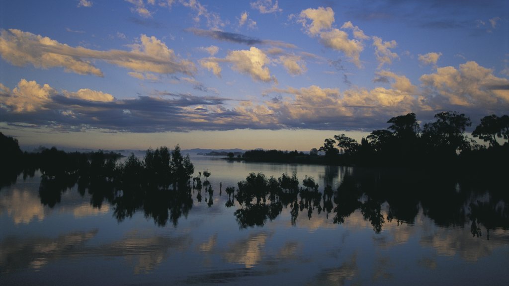 Forster caracterizando um pôr do sol e um rio ou córrego