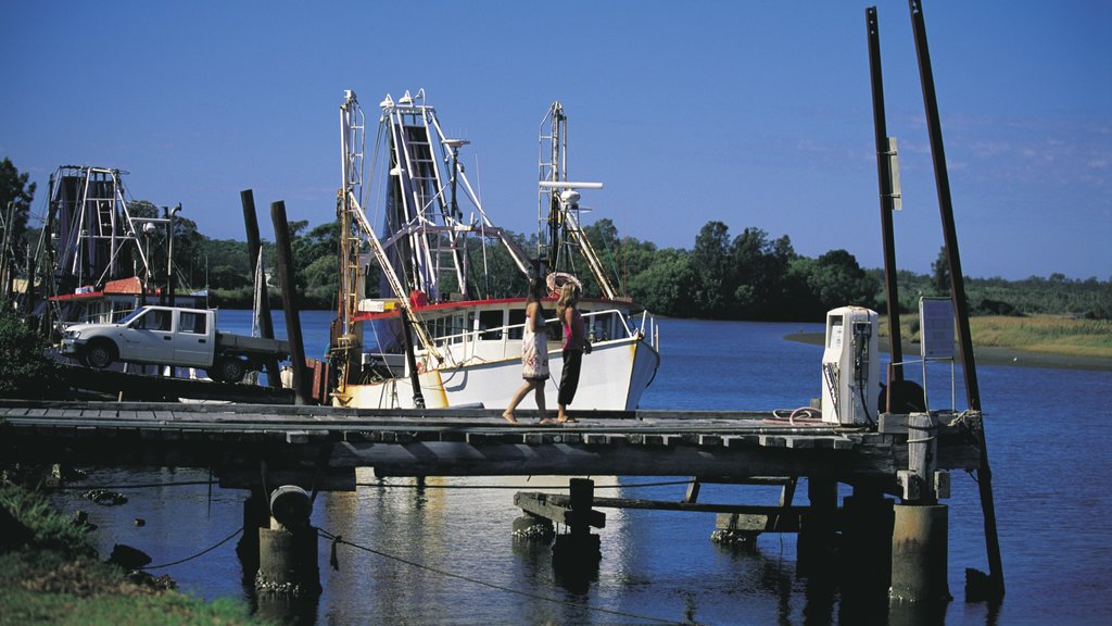 Forster ofreciendo botes y una bahía o un puerto