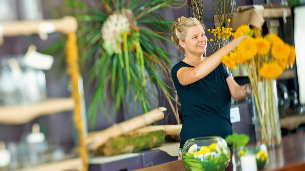 Lismore qui includes scènes intérieures et fleurs aussi bien que une femme seule