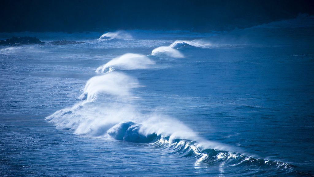 Bruny Island showing waves