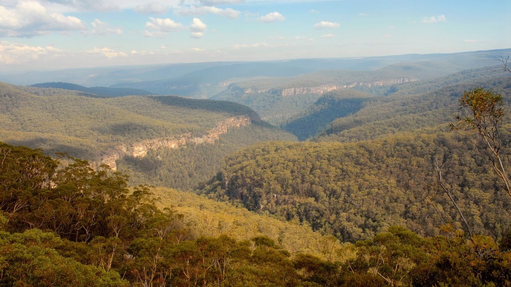 Bundanoon which includes tranquil scenes