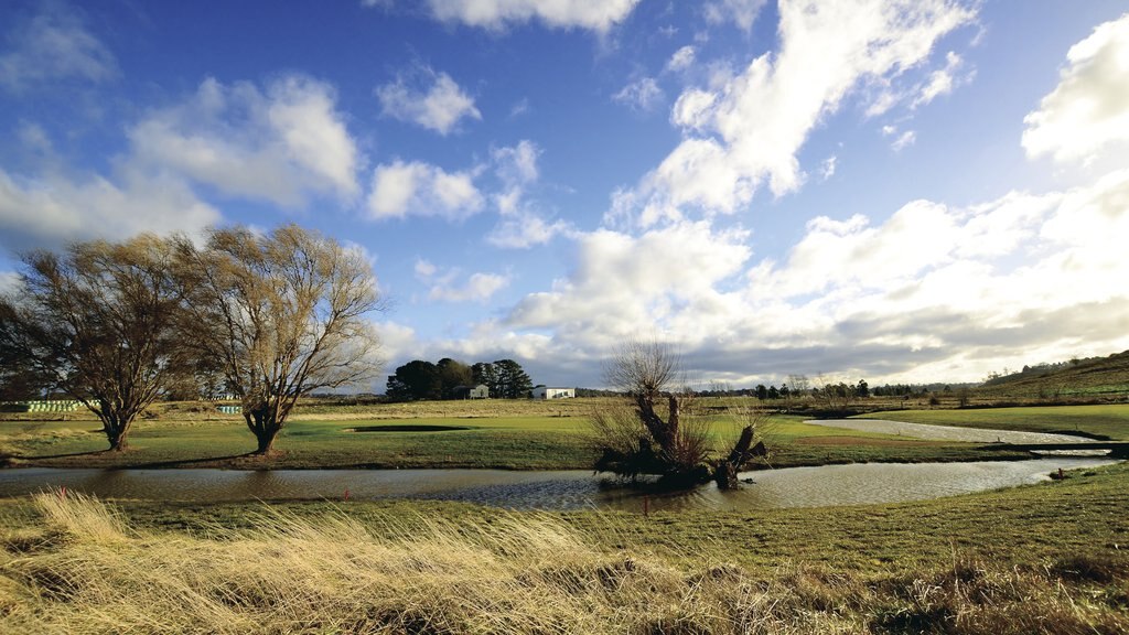 Sutton Forest montrant paysages et paysages paisibles