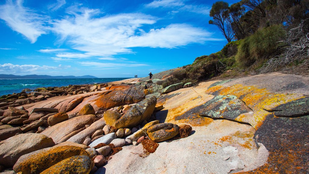 Freycinet showing rocky coastline