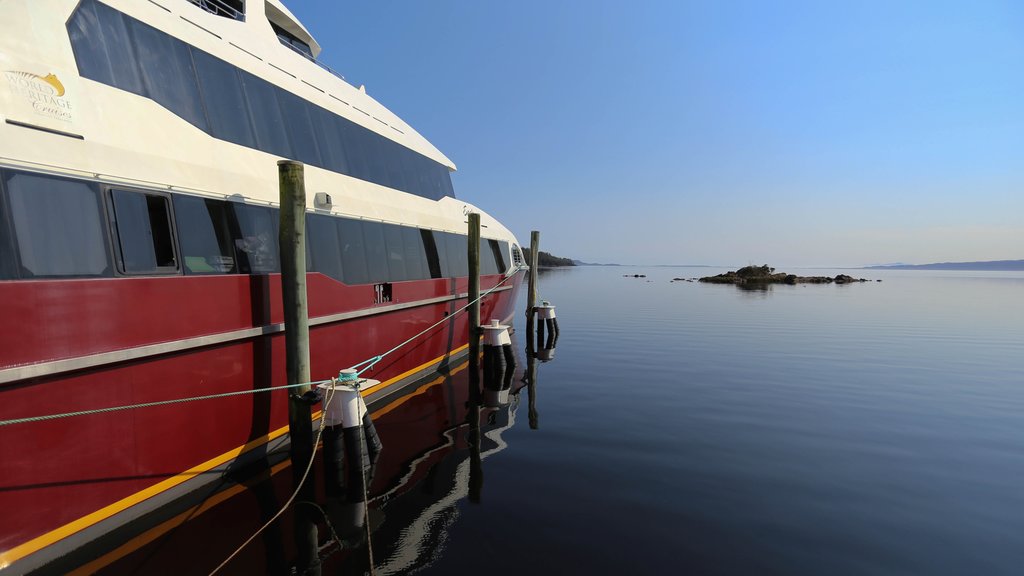 Boat Harbour qui includes une baie ou un port et bateau