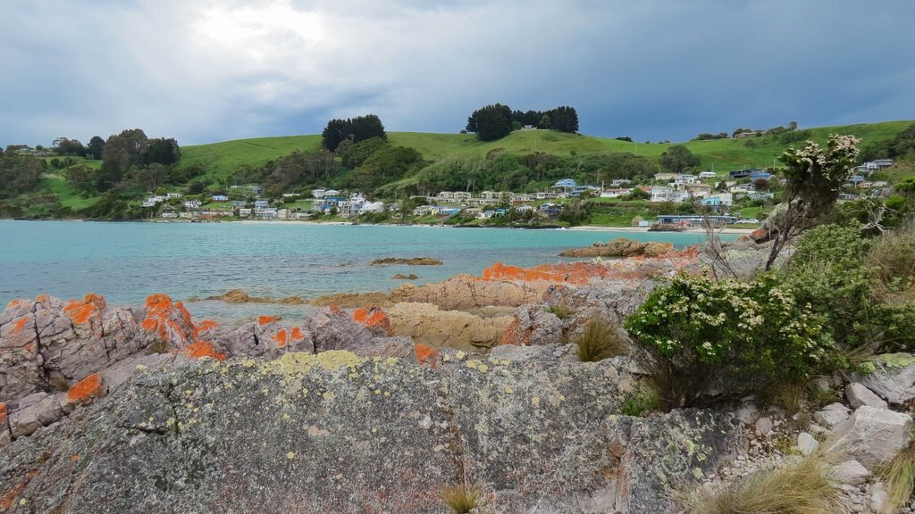 Boat Harbour som viser barsk kystlinje, et hus og en kystby