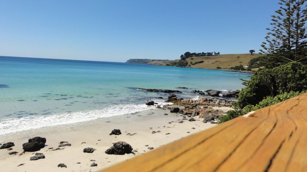 Boat Harbour featuring general coastal views and a beach