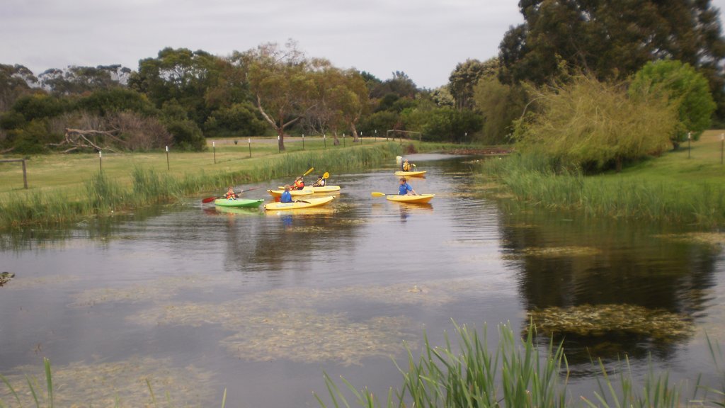 Port Sorell showing tranquil scenes, kayaking or canoeing and a pond