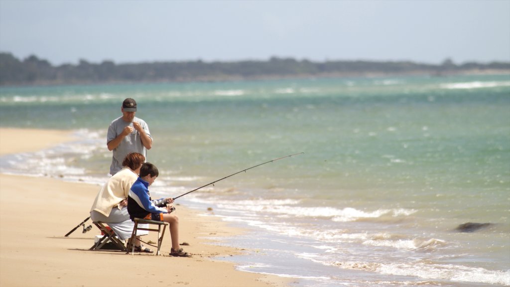 Port Sorell ofreciendo vista general a la costa, una playa y pesca