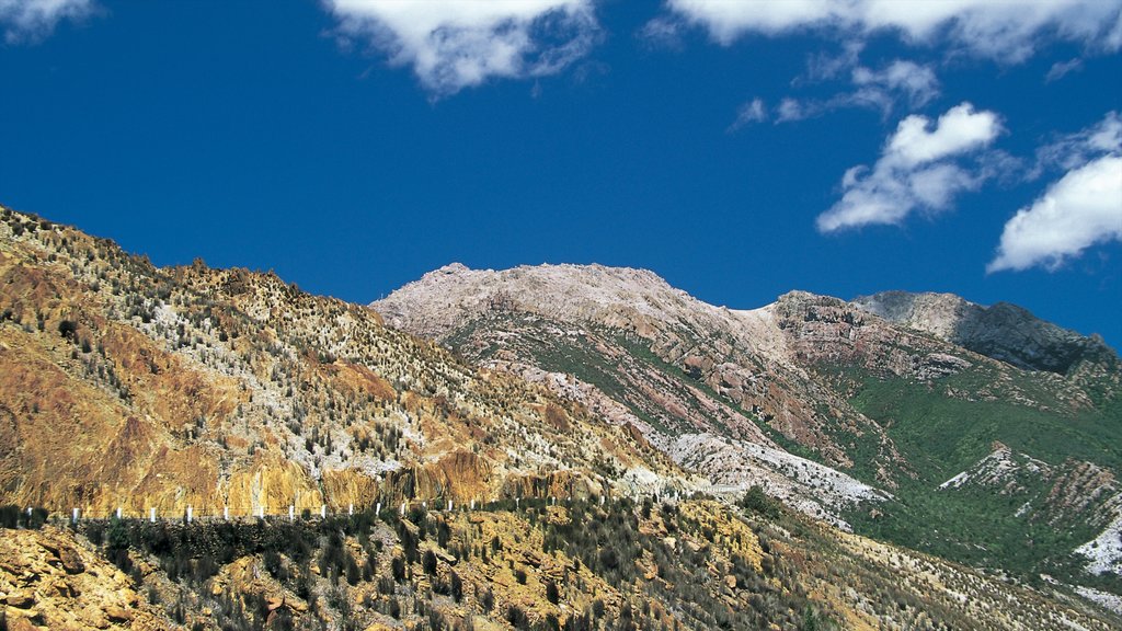 Queenstown showing mountains and tranquil scenes