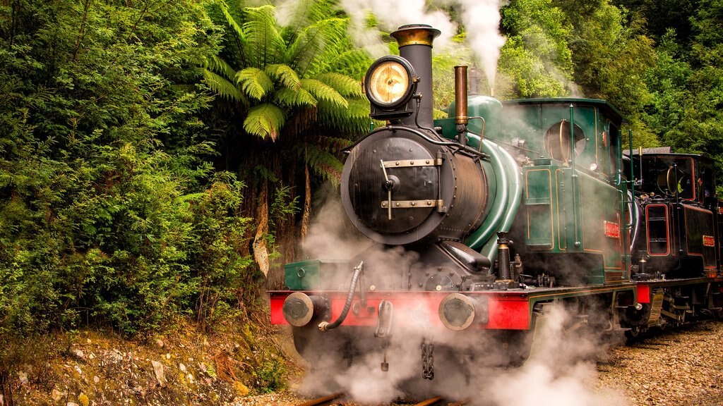 Queenstown showing forests and railway items