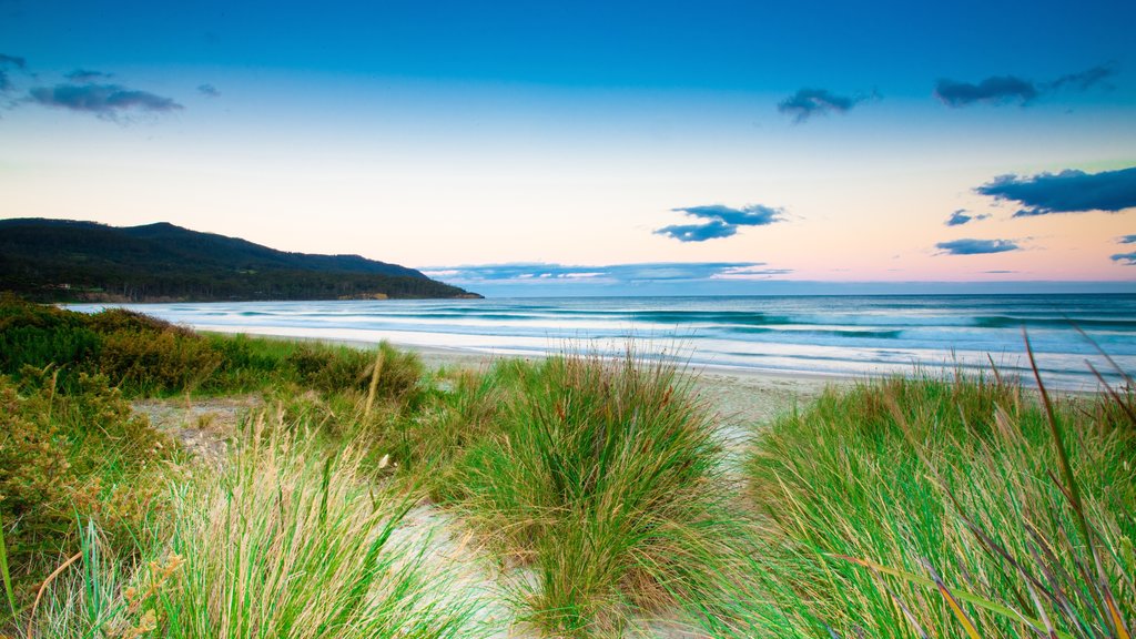 Eaglehawk Neck showing a sunset, a sandy beach and general coastal views