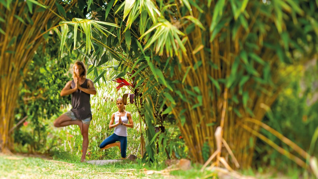 Lismore showing a day spa and tranquil scenes as well as a small group of people