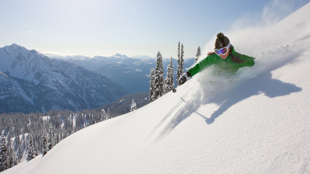 Golden caracterizando neve, montanhas e esqui na neve