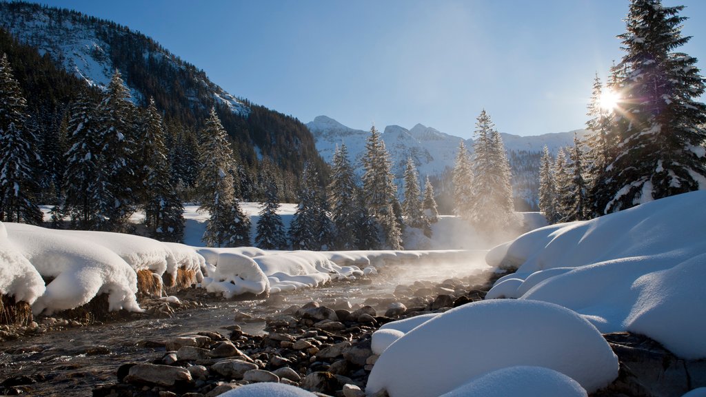 Obertaürn mostrando un río o arroyo, nieve y escenas forestales