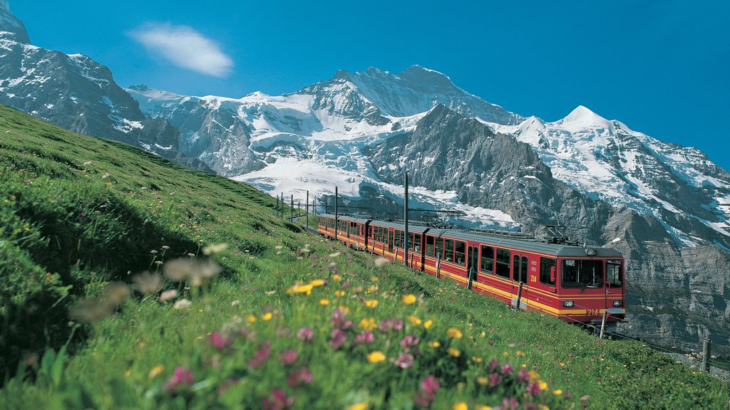 Jungfraujoch que incluye artículos de ferrocarril y montañas