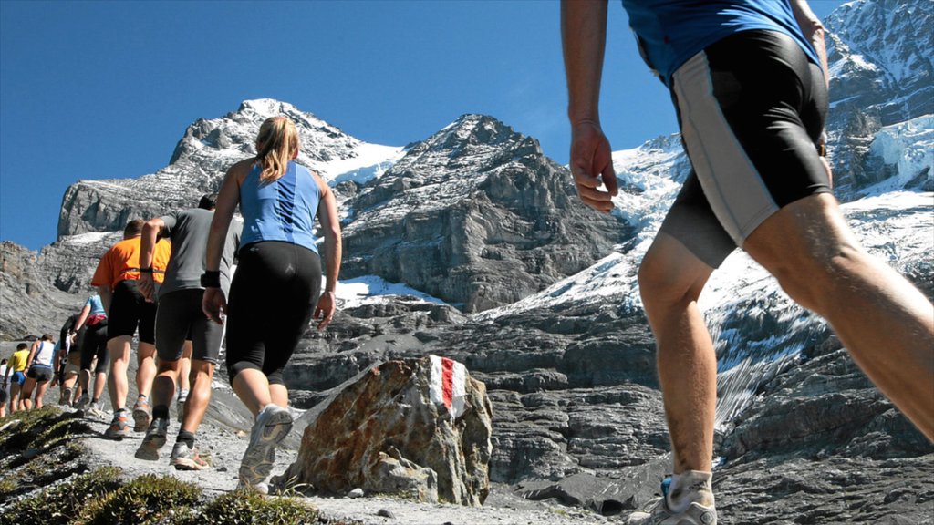 Jungfraujoch featuring hiking or walking and snow as well as a large group of people