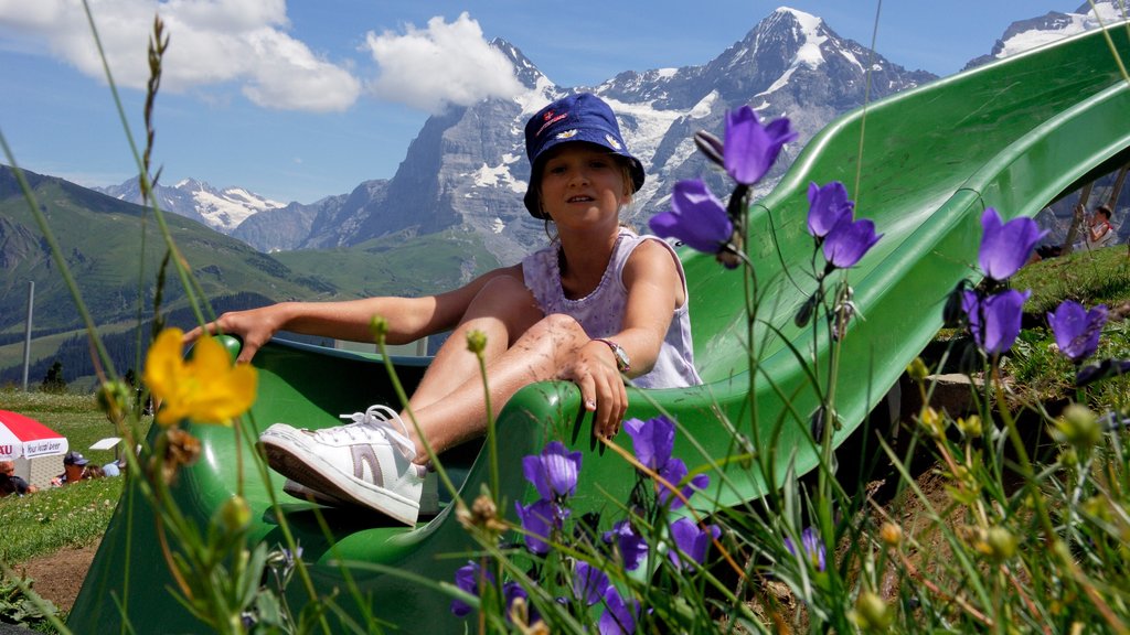 Mürren mostrando flores silvestres y también un niño