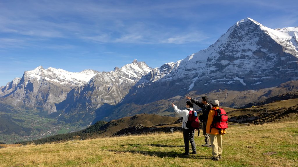 Lauterbrunnen som viser rolig landskap og vandring eller fottur i tillegg til en liten gruppe med mennesker