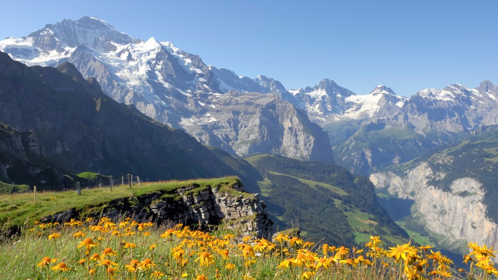 Lauterbrunnen presenterar berg, blommor och stillsam natur