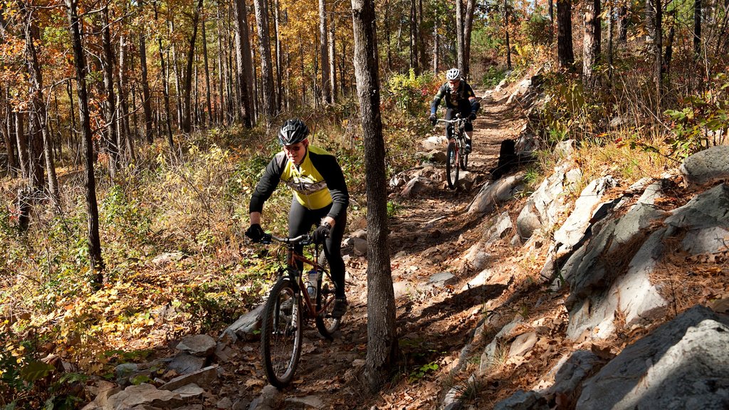 Bismarck mostrando ciclismo de montaña y también un pequeño grupo de personas