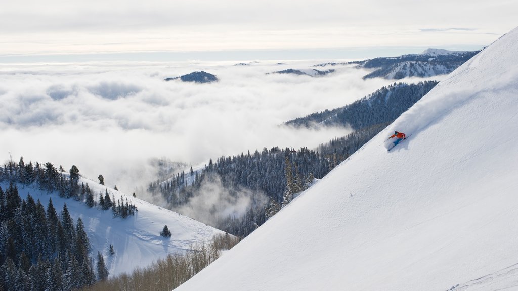 Canyons Resort showing snow skiing, snow and tranquil scenes