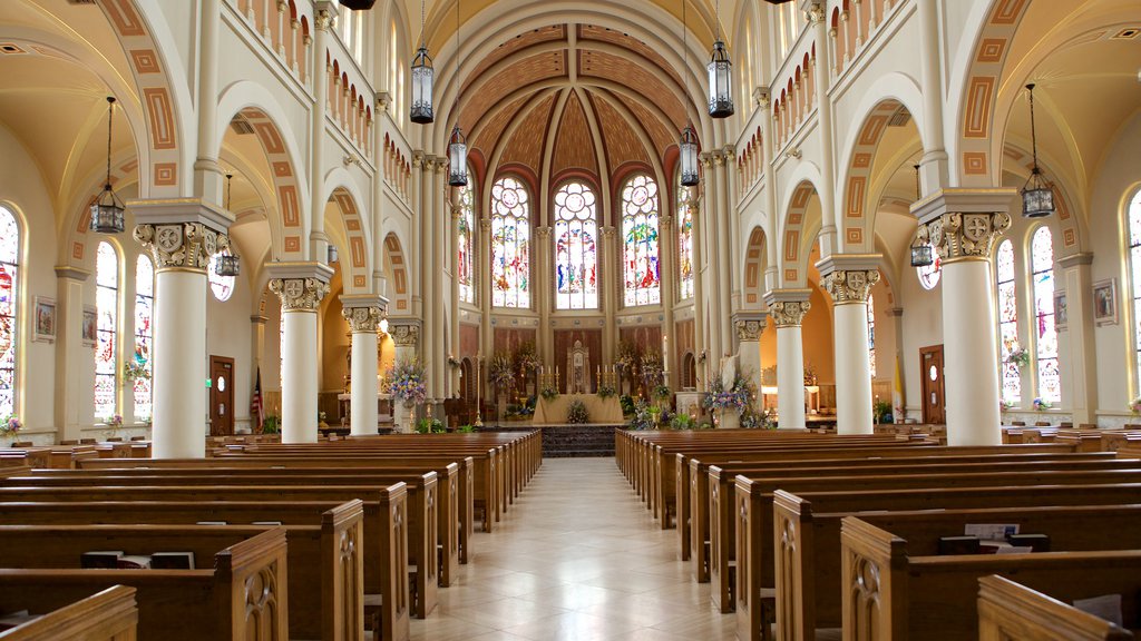 Cathedral of St John som viser religiøse elementer, en kirke eller en katedral og interiør