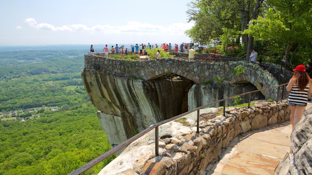 Lookout Mountain showing views and tranquil scenes as well as a large group of people