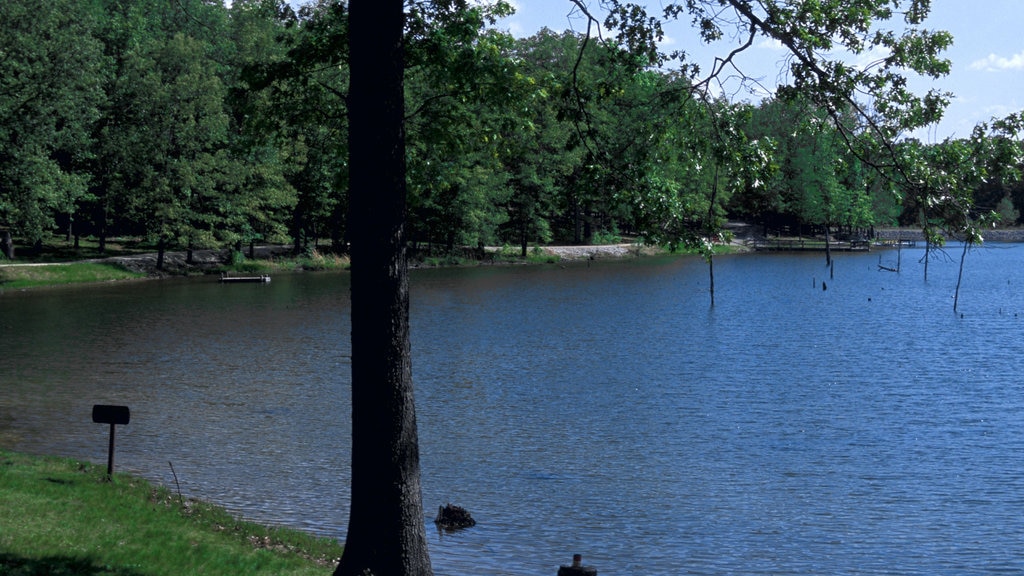 Pocahontas showing a lake or waterhole