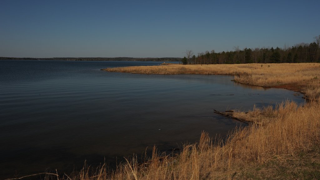 Monticello que incluye un pantano y un lago o laguna