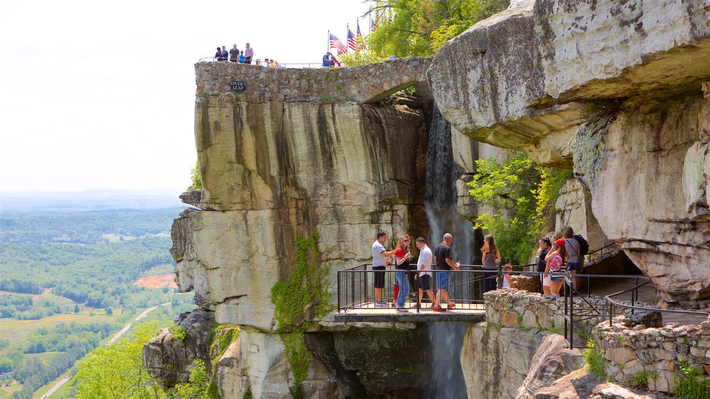 Lookout Mountain que incluye escenas tranquilas y vista y también un pequeño grupo de personas